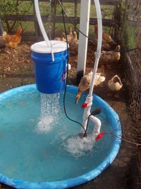 Duck Pond Filter & Shower with lots of pictures. | BackYard Chickens - Learn How to Raise Chickens Duck Pond Filter, Diy Duck Pond, Duck House Diy, Duck Waterer, Duck Enclosure, Duck Pens, Backyard Ducks, Backyard Animals, Duck Coop