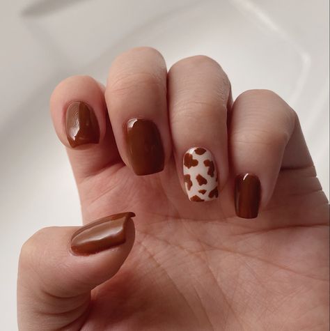 Acrylic Nails Cowgirl, Country Concert Gel Nails, Cow Print Brown Nails, Brown Cowprint Nails Designs, Nails Acrylic Short Cow Print, Calgary Stampede Nails, Cowgirl Inspired Nails, Cow Print Accent Nails, Brown Cow Print Nails Short