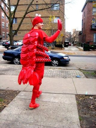 Red solo cup lobster for under $25 Lobster Halloween, Sebastian Costume, Under The Sea Costumes, Crab Costume, Lobster Costume, Strawberry Costume, Sea Costume, My Lobster, Mermaid Parade