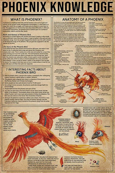 PRICES MAY VARY. PLEASE NOTE – Your Phoenix Poster arrive UNFRAMED: Our prints fit standard frame sizes. Simply find the frame that best suits your style. High quality print, easy to read from across the room. INTERSTING PHOENIX KNOWLEDGE - Phoenix Bird, a legendary bird from ancient Greek folklore which is associated with the Sun. In this nice poster you can know What is Phoenix, 7 intersting facts about Phoenix bird, Anatomy of a Phoenix and how to clarify femal/male Phoenix bird. UNIQUE GIFT Fantasy Creatures Mythology, Phoenix Painting, Fenix Tattoo, Phoenix Drawing, Phoenix Artwork, Phoenix Dragon, Knowledge Poster, Phoenix Images, Mythical Birds