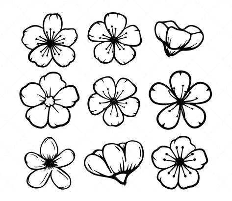 Cheery Blossoms Drawing Simple, Mazda Drawing, Cherry Blossom Flower Drawing, Cherry Blossom Flower Tattoo, Cherry Blossom Outline, Cherry Blossom Svg, Cherry Blossom Png, Cherry Blossom Embroidery, Cherry Blossom Vector