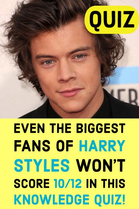 Harry Styles Prince Hair Era, Do You Know Who You Are Harry Styles, One Direction Buzzfeed Quizzes, Harry Styles 2024, Harry Styles Buzz Cut, Harry Styles Barbie, Harry Styles With Fans, Harry Styles Quiz, Long Hair Harry Styles