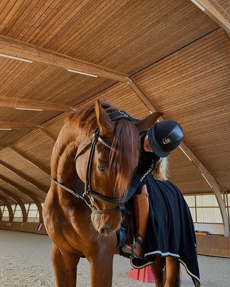 Horseback Riding Outfit, Aesthetic Equestrian, Riding Outfit Equestrian, Horsey Life, Horse Riding Aesthetic, Horseback Riding Outfits, Equestrian Aesthetic, Rasy Koni, Cute Horse Pictures