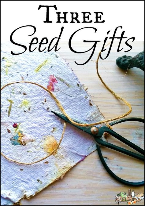 3 Seed Gift Ideas l Earth Day, Easter, Mother's Day l Frugal DIY gifts for every gardener l Crafts for kids and adults l Homestead Lady.com  #earthday #easter #mothersdaygift #homesteadholiday #kidscrafts Design Seeds, Seed Gift Ideas, Seed Gifts, Gift Ideas For Gardeners, Homemade Envelopes, Seed Saving, Super Gifts, Seed Paper, Wildflower Seeds