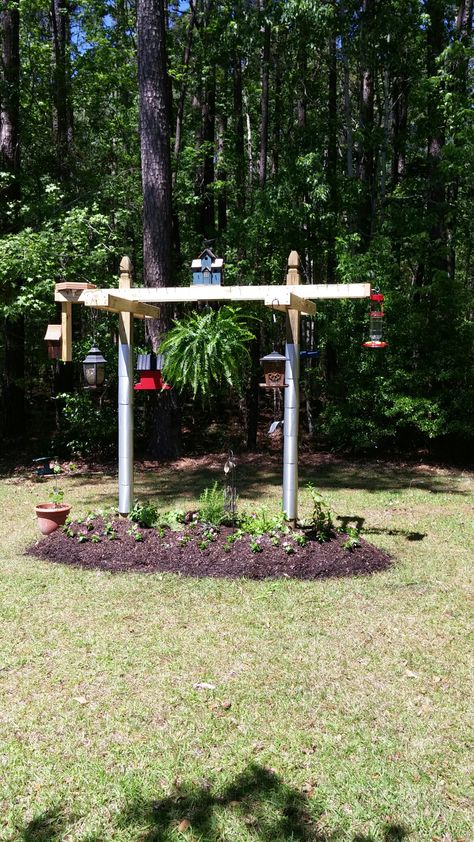 Bird Feeder Station, Backyard Birds Sanctuary, Backyard Birds Feeders, Bird Feeder Poles, Bird Feeding Station, Bird Feeding, Bird House Kits, Diy Bird Feeder, Feeding Station