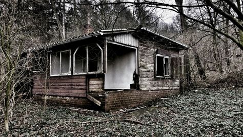 Abandoned shack in the woods Wood, Shack In The Woods, Abandoned Shack, Dark Cottagecore, In The Woods, Cabin, Lake, House Styles, Green