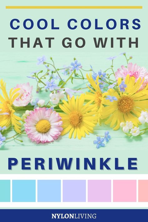 Looking to use a periwinkle blue color in your color palette inspiration? Here are 25 colors that go well with periwinkle blue, including such diverse options as a periwinkle blue and yellow color scheme or a periwinkle and coral color scheme. Of these 25 periwinkle color scheme color palettes, one color scheme with periwinkle is sure to be your favorite! Whether its wedding color inspo or for interior design, a periwinkle blue color scheme is great for many uses! Cornflower Blue Color Schemes, Periwinkle And Yellow Color Palette, Periwinkle Colour Palette, Periwinkle Laundry Room, Light Periwinkle Paint, Periwinkle Blue Living Room, Colors That Go With Periwinkle, Periwinkle Bathroom Ideas, Periwinkle Home Decor