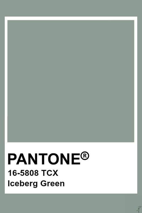 Eucalyptus Green Color Trend 2021-2022 in interiors and design Green Color Trends, Pantone Tcx, Pantone Green, Pantone Color Chart, Pantone Swatches, Pantone Palette, Pantone Colour Palettes, Colour Pallette, Colour Pallete