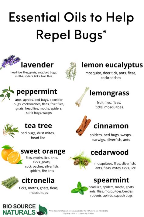 Essential Oils That Repel Mosquitos, Essential Oils That Repel Spiders, Essential Oils That Repel Bugs, Bee Repellent Essential Oils, Natural Bug Spray For Home, Diy Insect Repellent For Home, Essential Oil Pest Control, Gnat Repellant Essential Oils, Essential Oils Insect Repellent