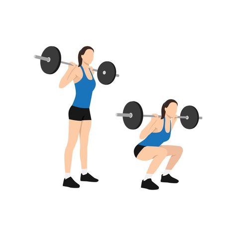 Woman doing Squat with barbell exercise. Flat vector illustration isolated on white background Barbell Squats Women, Squat Illustration, Squat With Barbell, Exercise Clipart, Deadlift Women, Workout Illustration, Dance Clipart, Dancing Clipart, Back Squat