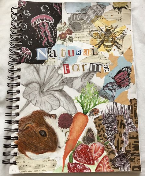 Artist Title Ideas, Sustain Investigation Art, Natural Forms Gcse Art Title Page, Gcse Art Textiles Sketch Books, Gcse Art Formal Elements Page, Gcse Art Title Page Natural Forms, Gcse Title Page Art Sketchbook, Title Page Art A Level, Textile Art Journal