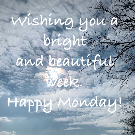 Magic Monday, New Month Quotes, Monday Wishes, Monday Greetings, Happy Monday Morning, Monday Images, Month Quotes, Monday Morning Quotes, Good Monday Morning