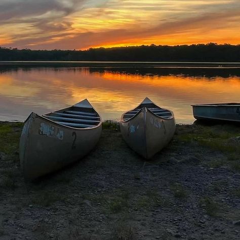 Where lake life and camp life come together! Otter Lake Camp Resort sits on 250 wooded acres with a 60-acre private lake giving you the best the Poconos has to offer. 📍 @otterlakecampresort 📷 Brian Sudol #PoconoMtns #PoconoMountains #CampingLife #OtterLakeCampResort Camp Memories, Lake Camp, Private Lake, The Poconos, Pocono Mountains, Camp Life, Camping Life, Lake Life, Come Together