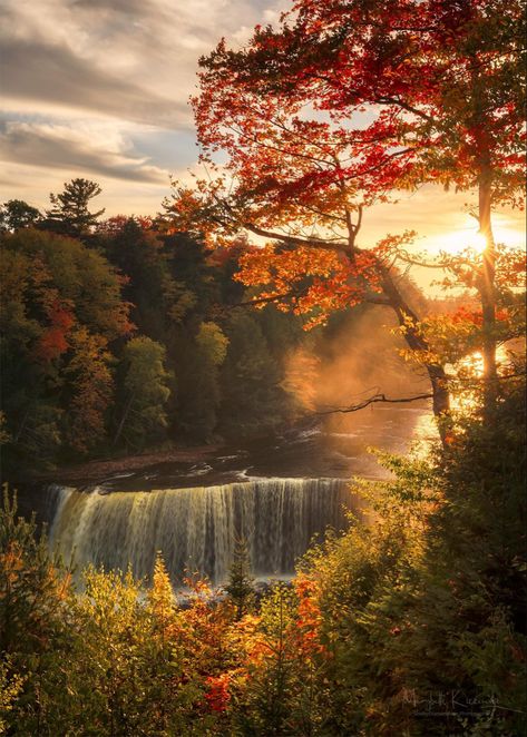 Michigan's crown jewel - Tahquamenon Falls - Looking absolutely STUNNING in the fall hues! Nature, Pretty Autumn Pictures, Michigan Autumn, Michigan Aesthetic, Autumn Poetry, Autumn Pictures, Tahquamenon Falls, Autumn Love, Scenic Pictures