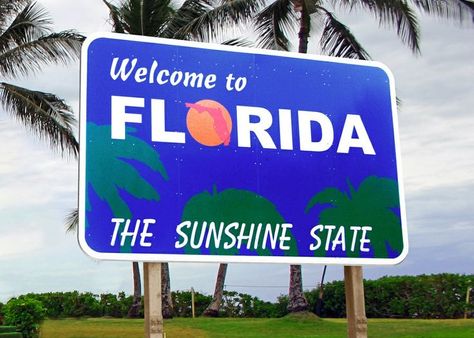 Beach Signs, Lana Del Rey, Florida Tourism, Ella Enchanted, Florida Sunshine, State Signs, Moving To Florida, Tourism Industry, Facts For Kids
