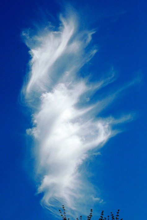 The Weirdest Clouds that You'll Ever See | Webdesigner Depot Storm Clouds, Angel Clouds, Cloud Shapes, What Do You See, Cloudy Day, Natural Phenomena, Sky And Clouds, Beautiful Sky, Source Of Inspiration