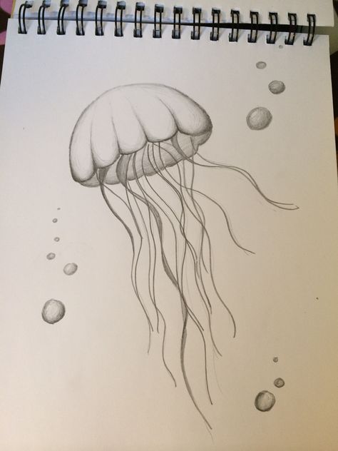 Ocean Animal Sketches Easy, Marine Sketch Ideas, Easy Marine Life Drawing, Easy Sea Life Drawing, Jelly Fish Sketch Drawing, Marine Life Drawing Simple, Summer Animals Drawing, Doodle Collage Drawings, Jellyfish Sketch Simple