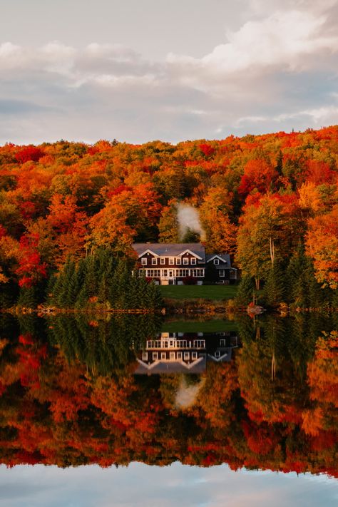 Trees, England, Fall Foliage, Hidden Gems, New England, You Must, Gems, Lake