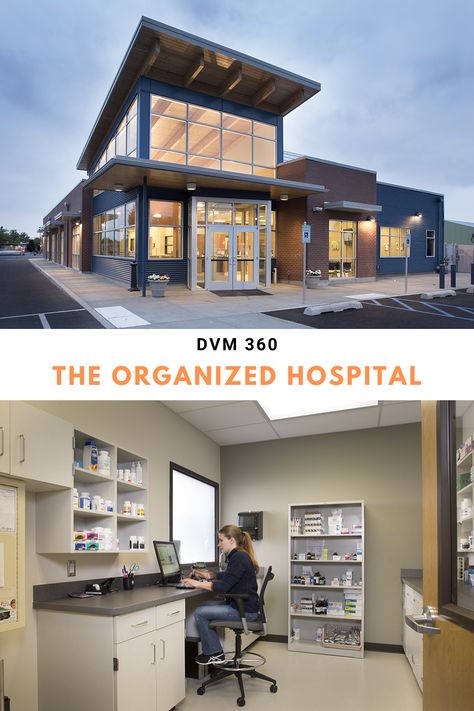 Veterinary Consult Room, Vet Hospital Organization, Veterinary Hospital Organization, Euthanasia Room Vet Clinic, Vet Clinic Lobby, Vet Clinic Design Interiors, Small Hospital Design, Veterinary Clinic Design Receptions, Vet Clinic Organization