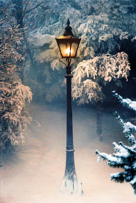 Narnia Lamppost in backyard garden Chronicles Of Narnia, Winters Tafereel, Winter Szenen, I Love Winter, Winter Love, Winter Magic, Winter Scenery, Winter Beauty, Snow Scenes