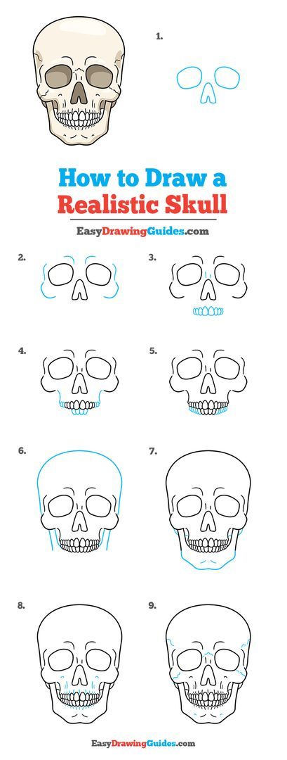 Skull Tutorial Drawing Step By Step, Easy Drawings Skeleton, Skulls Drawing Tutorial, Shaded Skull Drawing, How To Draw A Realistic Skull, Skeleton Sketch Step By Step, How To Sketch Skull, Skull Art Step By Step, Skeleton Drawing Tutorial Step By Step