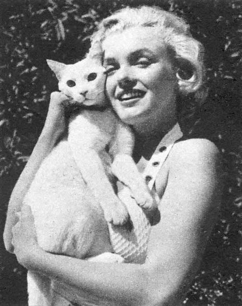 Marilyn Monroe and Kitty in white | Community Post: 45 Amazing Pictures Of Celebrities And Cats Norma Jean, Celebrities With Cats, Stars D'hollywood, Joe Dimaggio, Photo Chat, Marilyn Monroe Photos, Marylin Monroe, Norma Jeane, Cat People