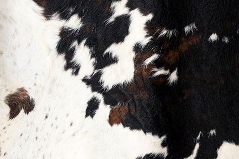 Cow skin pattern texture black whit��#photo #wallart #photodownload #animal #education #template Fur Pattern, Fur Texture, Texture Drawing, Skin Pattern, Drawing Templates, Cow Skin, Pattern Texture, Cow Pattern, Animal Skin