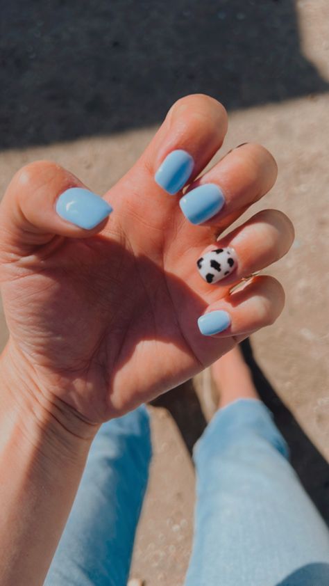 Cow print western nails Dark Blue Cow Print Nails, Cow Print Nails With Blue, Light Blue Western Nails, Blue Nails Cow Print, Blue And Cow Print Nails, Cute Nails Cow Print, Cow Print Nails Blue, Cow Nails Short, Country Nail Designs Southern