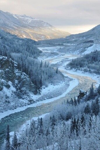 Denali National Park. Scuba Diving, Denali National Park, Winter Scenery, Winter Wonder, Foto Inspiration, Winter Landscape, Winter Scenes, Snorkeling, Beautiful World