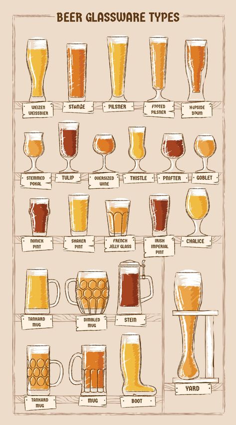If you’re like me and enjoy a cold beer, then you probably also enjoy trying new beers. If this is true, then you’ve probably used more than one glass to drink your favorite brews. There are many different ways to enjoy a beer, and each glass type has its own unique properties. From the shape […] The post 23 Beer Glass Types – Everything You Need To Know. first appeared on Daily Infographic. Home Brewing Beer, Aperitif, Beer Infographic, Glass Types, Beer Types, Beer Guide, Beer Glassware, Beer Pairing, Dining Etiquette