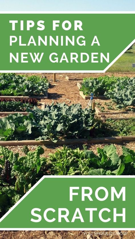 Backyard Vegetable Garden: Starting a vegetable garden is one of the most exciting things about spring! But it's not necessarily as simple buying some plants and sticking them in the ground. It helps to do some research and have a plan for what will really grow well for you. Gardening For Beginners | How To Grow | Homesteading via @youshouldgrow Backyard Vegetable Garden, Vegetable Garden Planner, Garden Layout Vegetable, Vegetable Garden For Beginners, Starting A Vegetable Garden, Organic Vegetable Garden, Backyard Vegetable Gardens, Garden Planner, Meteor Garden 2018