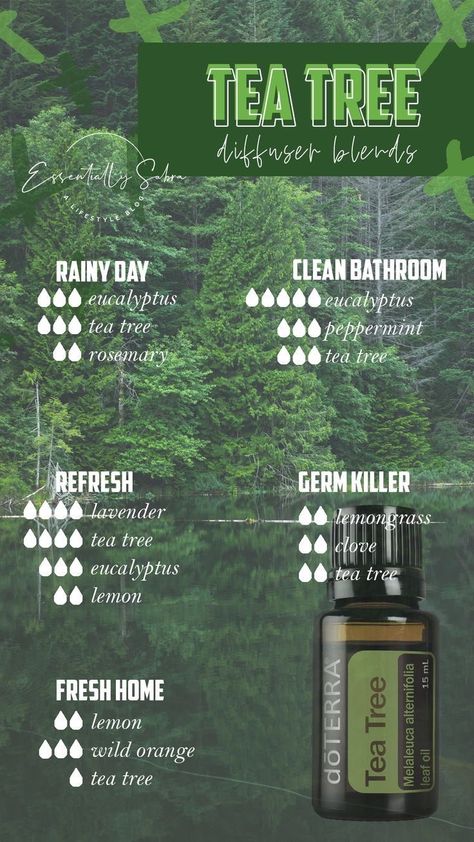 Tea Tree Diffuser Blends, Doterra Tea Tree, Melaleuca Essential Oil, Doterra Diffuser Blends, Essential Oil Combinations, Essential Oil Diffuser Blends Recipes, Doterra Essential Oils Recipes, Essential Oil Remedy, Young Living Essential Oils Recipes