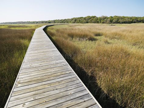 Boardwalk at coastal marsh. Wooden boardwalk stretching over marsh at Bald Head , #SPONSORED, #Wooden, #boardwalk, #marsh, #Boardwalk, #coastal #ad Boardwalk Architecture, Boardwalk Design, Waterfront Deck, Landscape Architecture Plan, Wetland Park, Wooden Walkways, Rattan Table, Sectional Sofa Set, Beach Wood