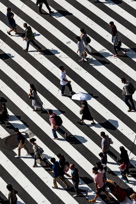 peoples walking on pedestrian lane Urban Pictures, Tokyo Shibuya, Japan Picture, People Pictures, People Walking, Perfect People, Jolie Photo, Download Free Images, Aerial Photography