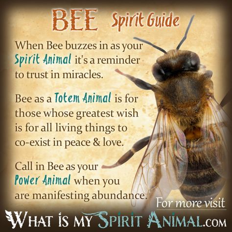 Bee Spirit Totem Power Animal Symbolism Meaning 1200x1200 Bee Meaning, Bee Symbolism, Bee Spirit Animal, Animal Totem Spirit Guides, Spirit Animal Quiz, Symbolism Meaning, Spirit Animal Meaning, Bee Quotes, Animal Meanings