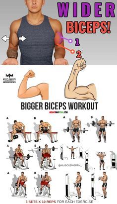 Bicep Workout Gym, Big Arm Workout, Arm Workout Men, Arm Workout Routine, Big Biceps Workout, Bicep And Tricep Workout, Good Arm Workouts, Forearm Workout, Gym Workout Planner