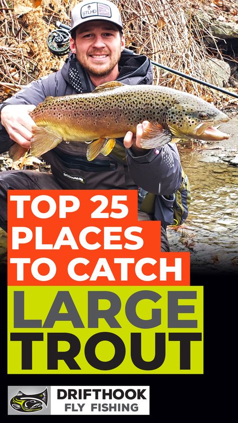 Best Trout Flies, Lake Trout Fishing, Trout Fishing Gear, Fly Fishing For Beginners, Fly Fishing Accessories, Lake Trout, Trout Bait, Trout Fishing Tips, Fishing Ideas