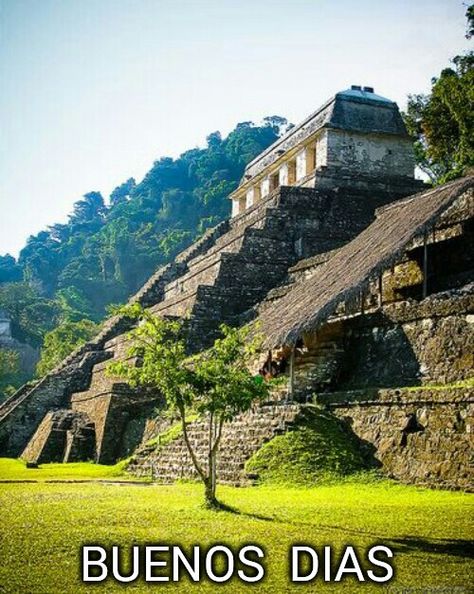 BUENOS DIAS Cozumel, Puerto Vallarta, Ancient Ruins, Step Pyramid, Visit Mexico, Mayan Ruins, Chichen Itza, Mexico Travel, Central America