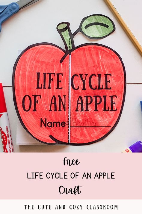 Free Life Cycle of an Apple Craft Printable Life Cycle Crafts For Toddlers, Plant Life Cycle Craft Preschool, Life Cycle Of An Apple Printable Free, Life Cycle Activities For Toddlers, Apple Life Cycle Printable Free, Life Cycle Crafts For Preschoolers, Life Cycle Activities For Preschoolers, Life Cycle Of Apple, Preschool Life Cycle Activities