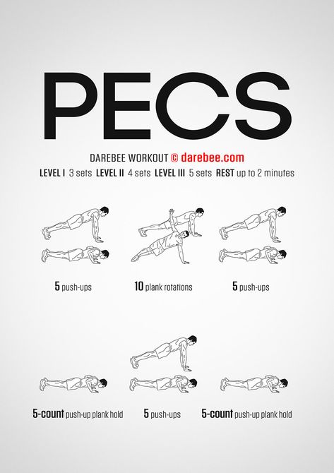 Pec Workouts, Chest Workout For Men, Chest Workout At Home, Shred Workout, Home Workout Men, Superhero Workout, Push Workout, Gym Workout Planner, Workout Routine For Men