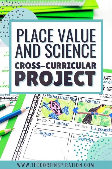 3rd Grade Place Value, Fun Math Projects, Cross Curricular Projects, Teach Place Value, Project Based Learning Elementary, Math Stem Activities, Project Based Learning Math, Teaching Place Values, Math Activities Elementary