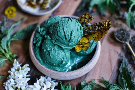 Foraged Meals, Botanical Recipes, Nettle Recipes, Ice Cream Vegan, Ginger Ice Cream, Artisan Ice Cream, Wild Food Foraging, Foraging Recipes, Ice Cream Ingredients