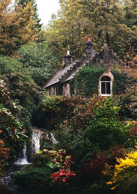 Small cozy cottage surrounded by nature Compost Packaging, Cottage Aesthetic, Fairytale Cottage, Cottage In The Woods, Dream Cottage, Cottage Core Aesthetic, Healthy Garden, Country Garden, Irrigation System