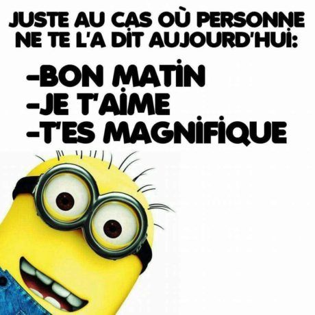 Juste au cas où personne ne te l’a dit aujourd’hui : Bon matin, Je t’aime, t’es magnifique ! . Minion Humour, Minion Jokes, Good Morning Good Night, Minions Funny, Cartoon Jokes, Sweet Life, May 21, Love Words, Positive Attitude