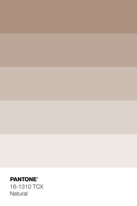 Neutral Pantone Palette, Beige Pantone Colour Palettes, Soft Brown Color Palette, Pantone Metallic Shimmers, Pantone Beige, Shades Of Light Brown, Pantone Metallic, Tcx Pantone, Mixing Primary Colors