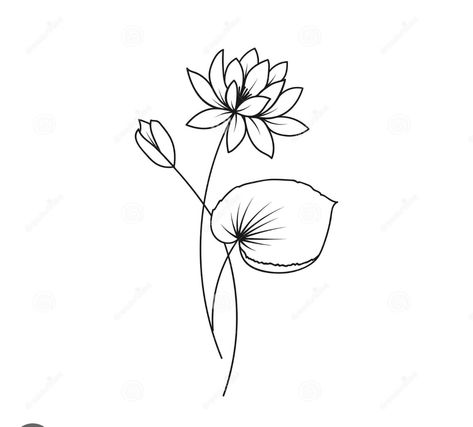 Water Lily Lotus Flower Lilly Pad Tattoo, Water Lily With Stem Tattoo, Easy Water Lily Drawing, Water Lily Outline Tattoo, Waterlily Minimalist Tattoo, Water Lily Small Tattoo, Water Lily Simple Tattoo, Water Lily Minimalist Tattoo, Water Lily Line Drawing