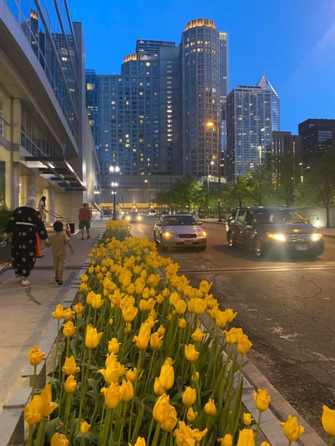 City Flowers Aesthetic, Spring Aesthetic City, Big City Aesthetic, Chicago Flowers, Winter Collage, Spring In The City, City Flowers, City Kid, Spring City