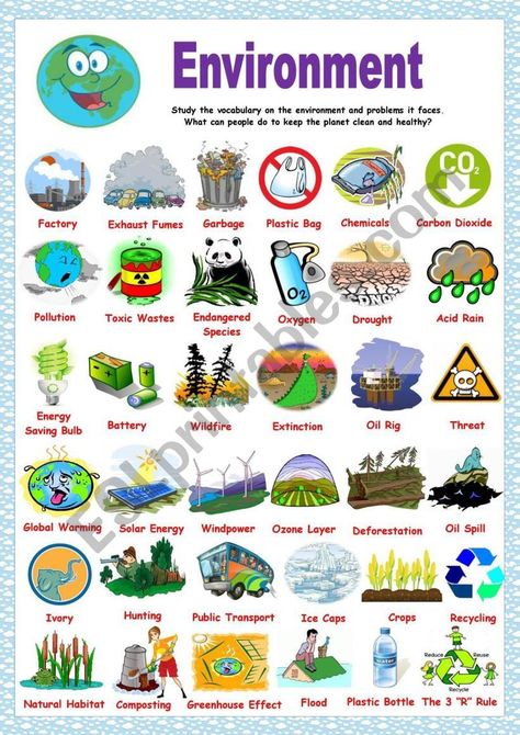 Environment Pictionary worksheet Pencemaran Air, Saving Earth, Camping Theme Preschool, Earth Activities, Planet Crafts, Global Goals, Saving The Planet, Environmental Problem, Environmental Studies
