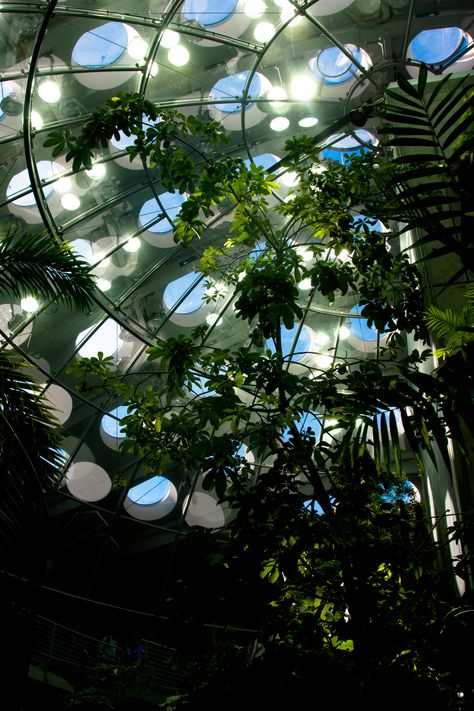 Organic Architecture, Solarpunk Moodboard, Cinematic Architecture, Soft Apocalypse, California Academy Of Sciences, Kids Library, Urban Oasis, Green Interiors, Garden Spaces