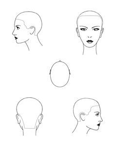 Blank Head Sheets! Cosmetology Head Sheet, Balayage, Head Sheets Hairdresser, Highlighting Placement, Hair Chart, Hair Cut Guide, Hair Academy, Balayage Technique, Hair School